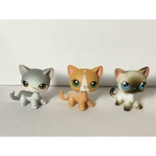 lps shorthair katten nummers: # 5, # 72, # 138.