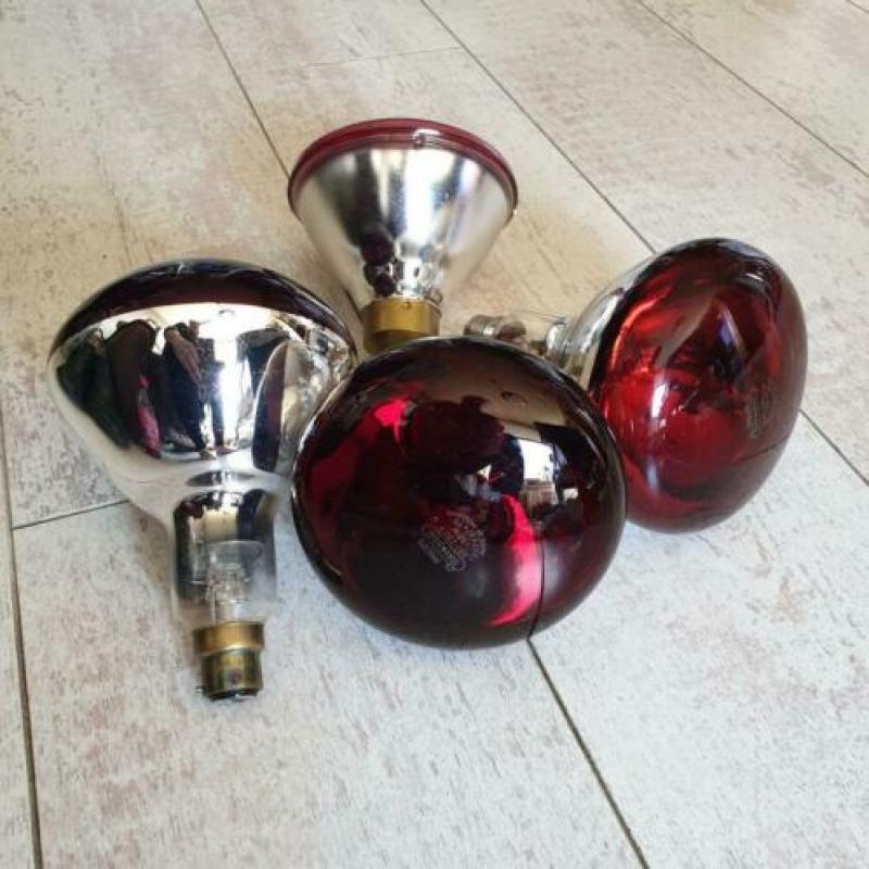 philips warmte lampen 7529 model