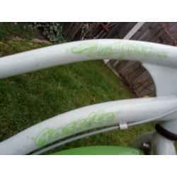 Gazelle type Freestyler met Versnelling en Krat