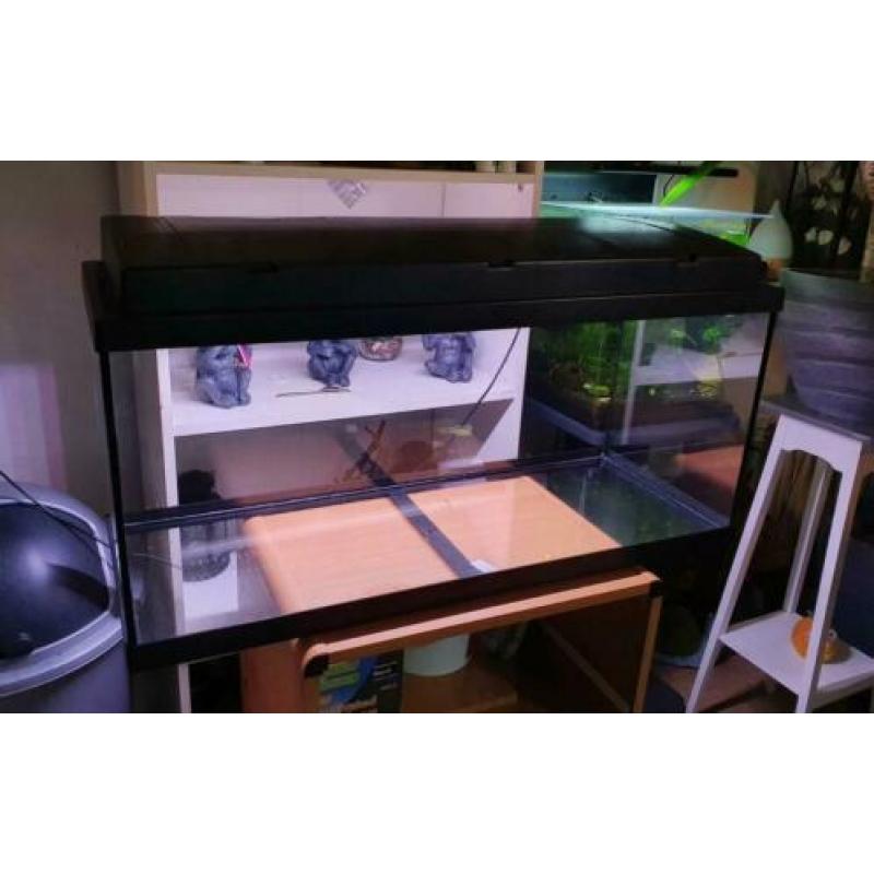 Nieuw!! Eheim Aquarium 80cm met LED