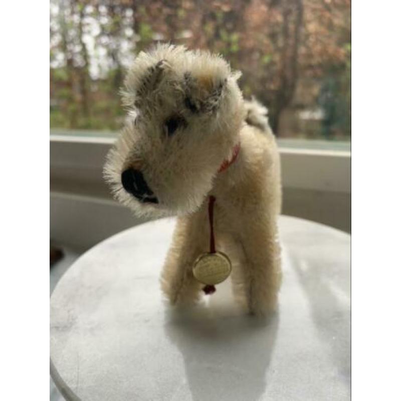 Hondje van Hermann Teddy original