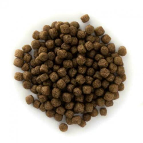 Nisai 2 jarige Korrel 1.8 mm Visvoer Karper voer Baby