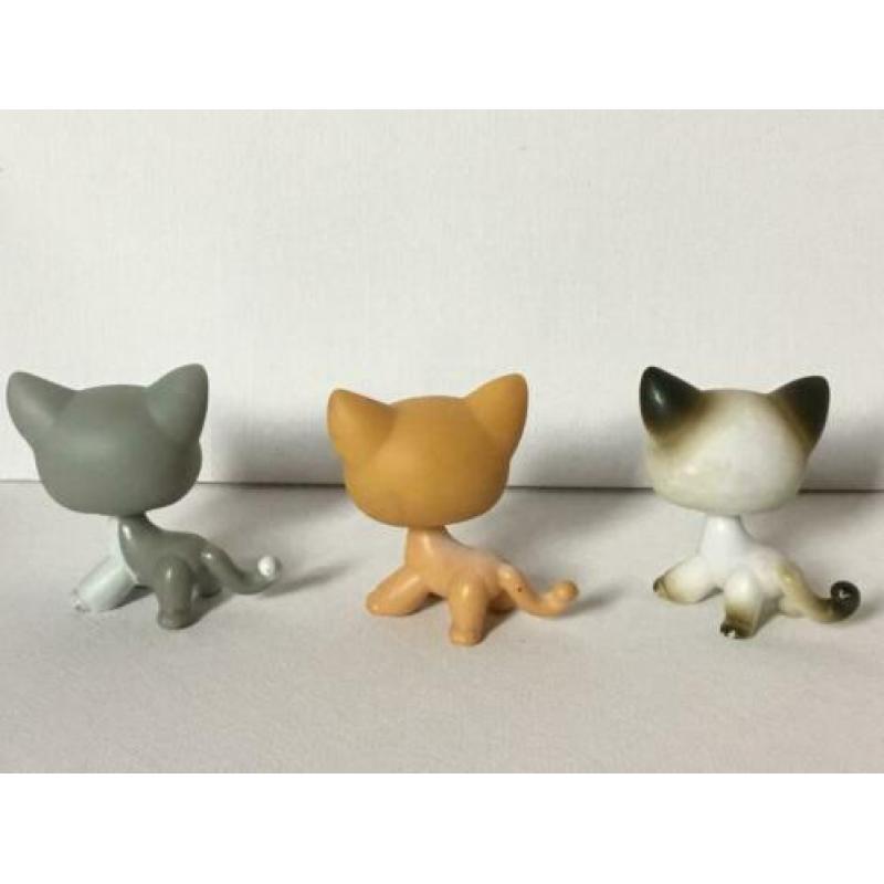 lps shorthair katten nummers: # 5, # 72, # 138.