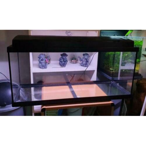 Nieuw!! Eheim Aquarium 80cm met LED