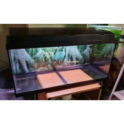 Nieuw!! Eheim Aquarium 80cm met LED