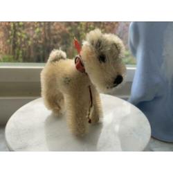 Hondje van Hermann Teddy original
