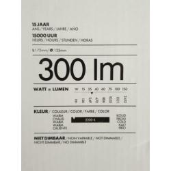 HEMA grote LED-lamp met ananas-structuur, 300 lmn, E27,nieuw
