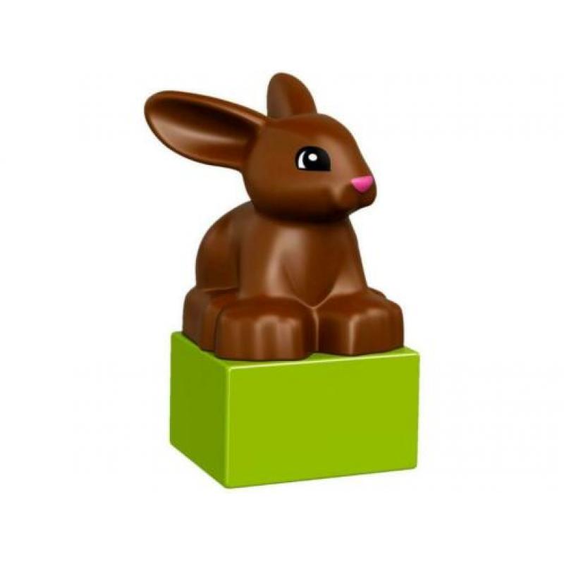 LEGO DUPLO 10838 Huisdieren
