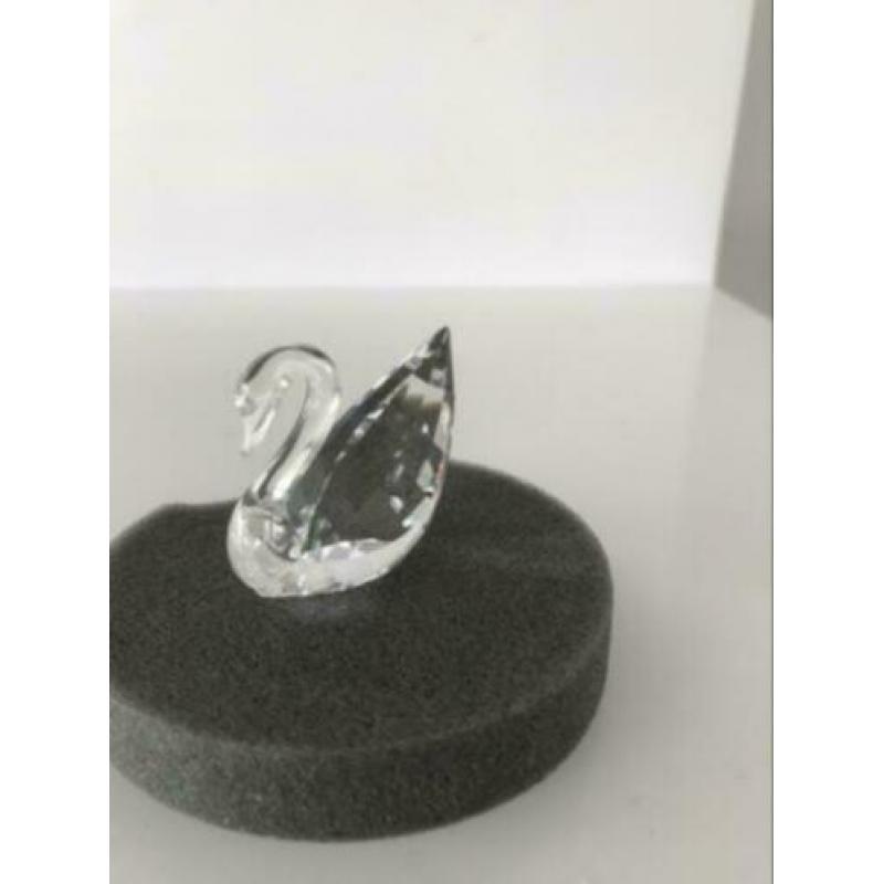 Swarovski zwaan welkomstgeschenk
