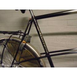 Gazelle SOLIDE 65 CM