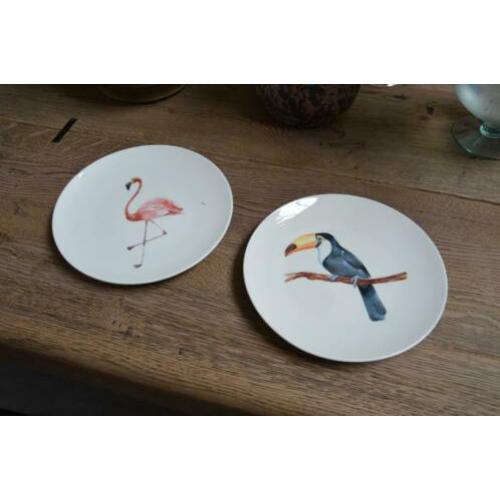 Wandbord flamingo en toekan