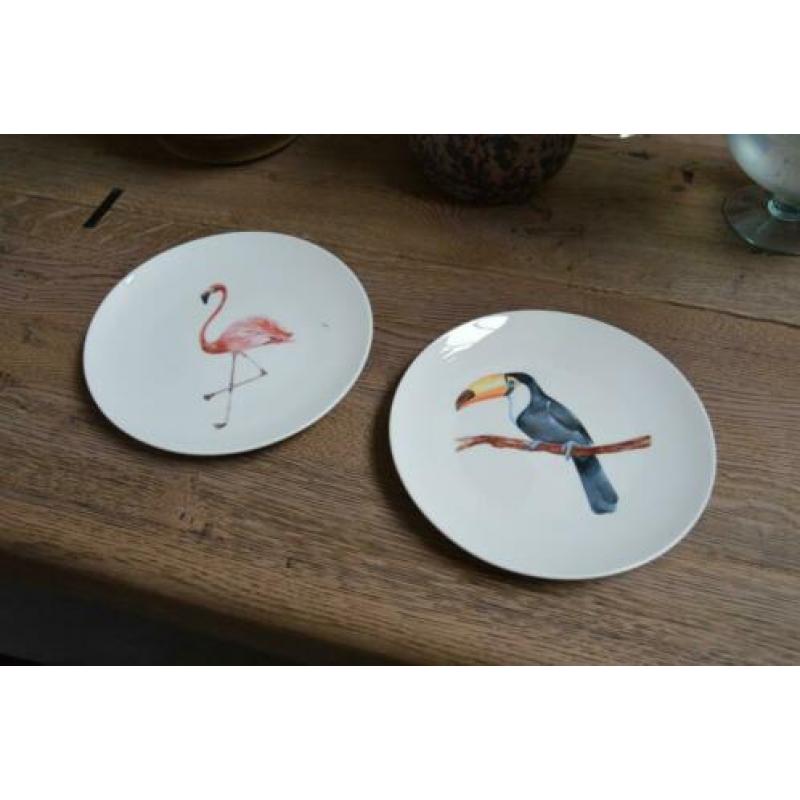 Wandbord flamingo en toekan