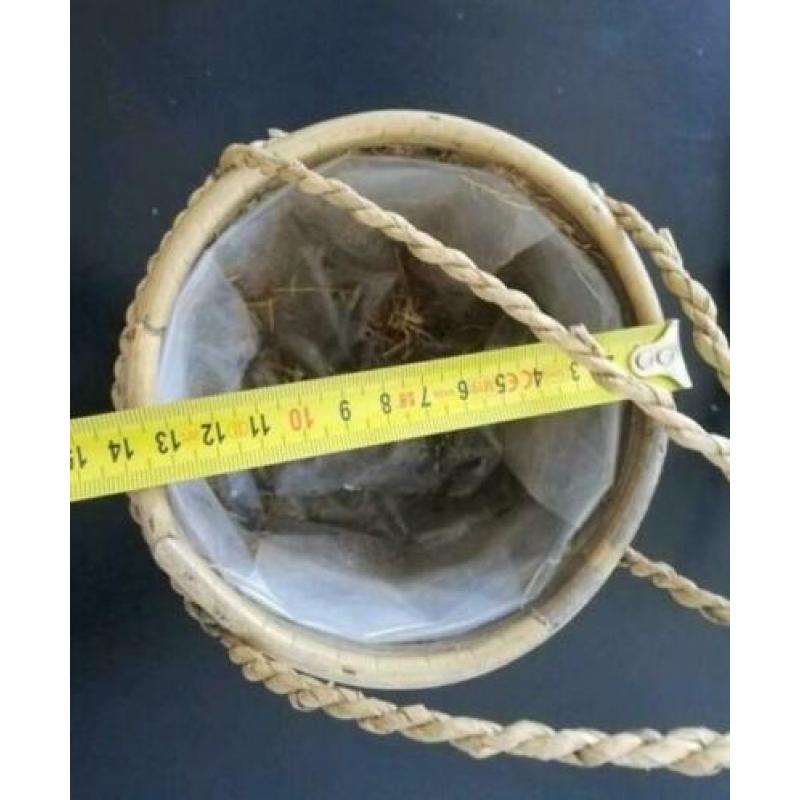 Rotan planten hanger!