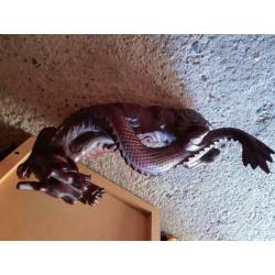 Chinese draak