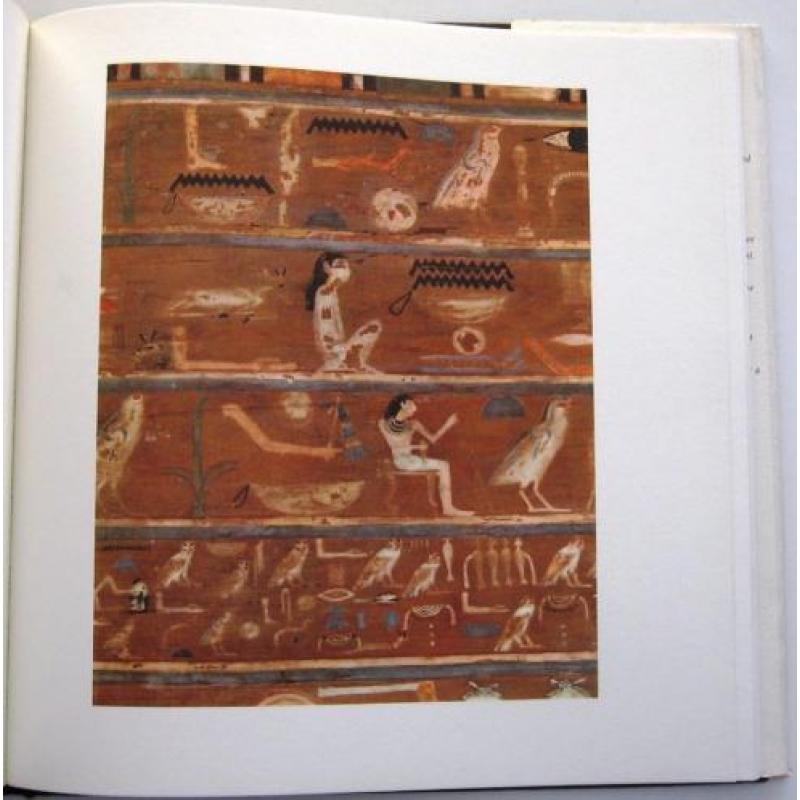 Egyptian Paintings of the Middle Kingdom HC Terrace Egypte