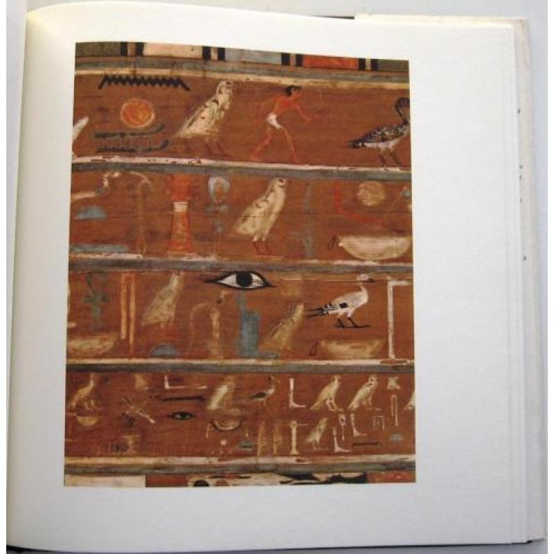 Egyptian Paintings of the Middle Kingdom HC Terrace Egypte