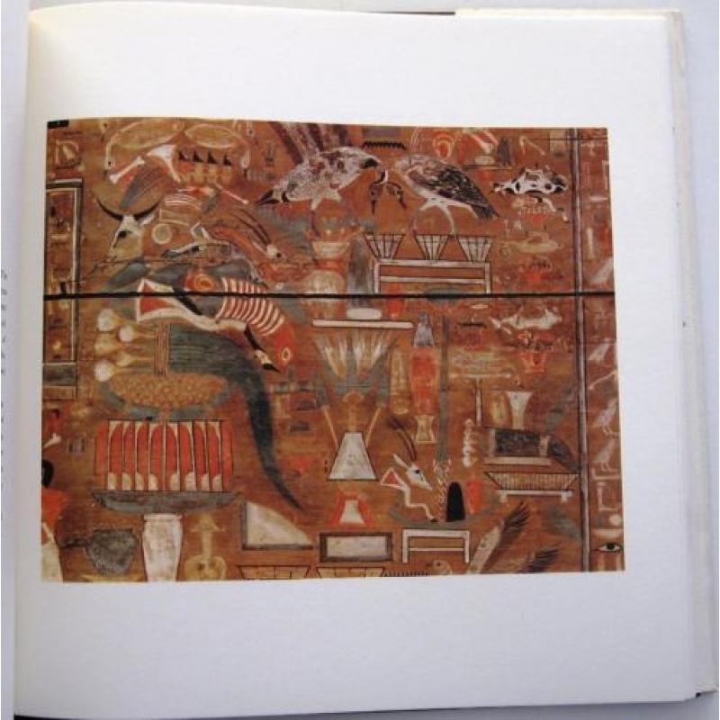Egyptian Paintings of the Middle Kingdom HC Terrace Egypte