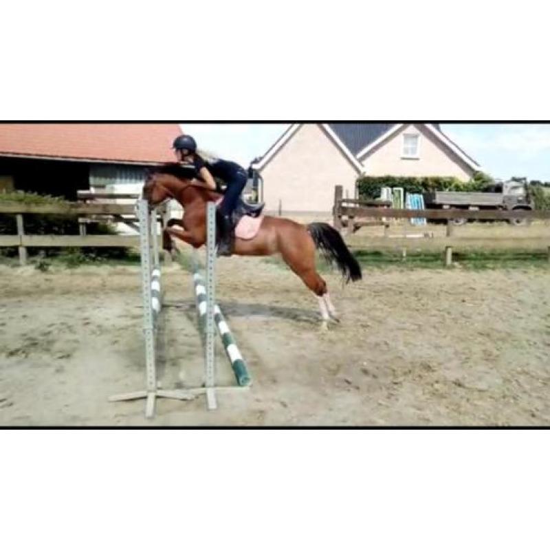 Super kinderpony met de X factor!