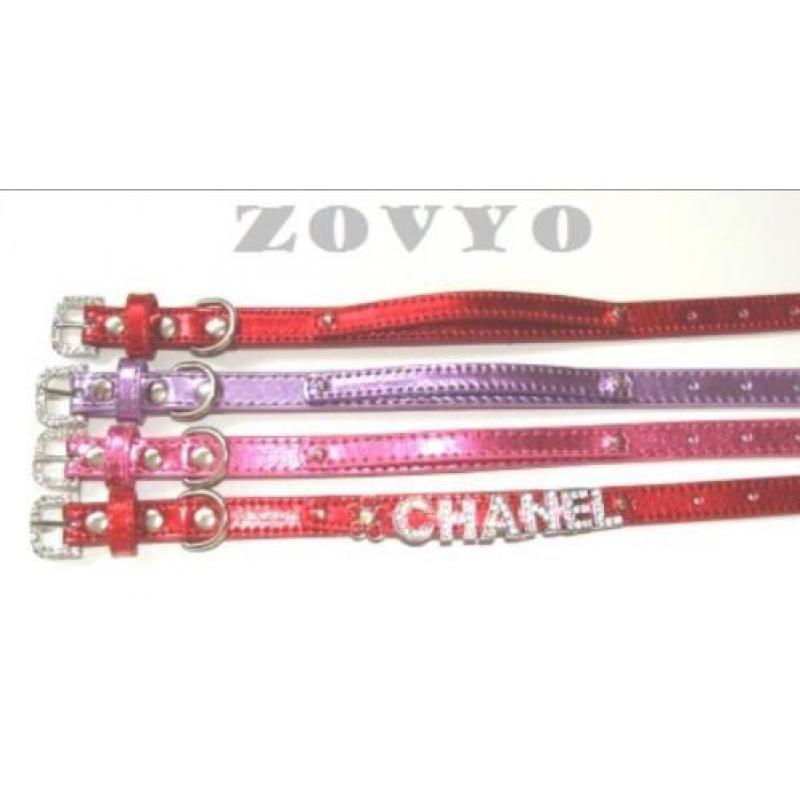 Er. Exclusieve hondenhalsband of tuigje met naam