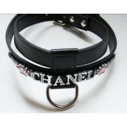 Er. Exclusieve hondenhalsband of tuigje met naam