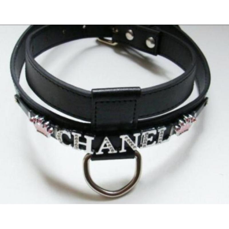 Er. Exclusieve hondenhalsband of tuigje met naam
