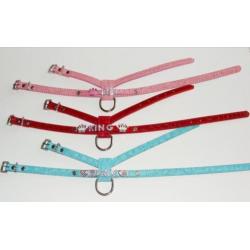 Er. Exclusieve hondenhalsband of tuigje met naam