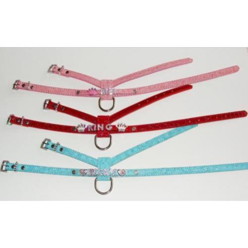 Er. Exclusieve hondenhalsband of tuigje met naam