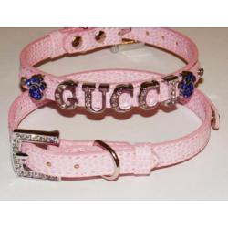 Er. Exclusieve hondenhalsband of tuigje met naam