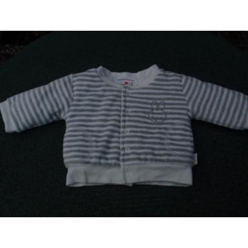 Wit Grijs Nijntje Jasje Vest / Vestje Jas - Prenatal - mt 50