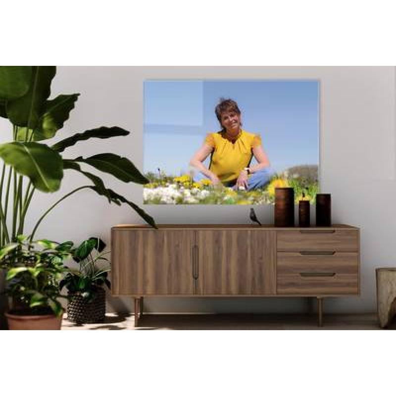 Foto op plexiglas 70x300 cm
